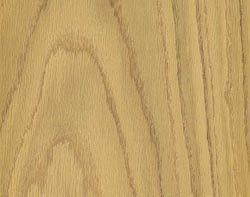 American white oak