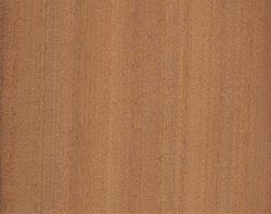 Sapele